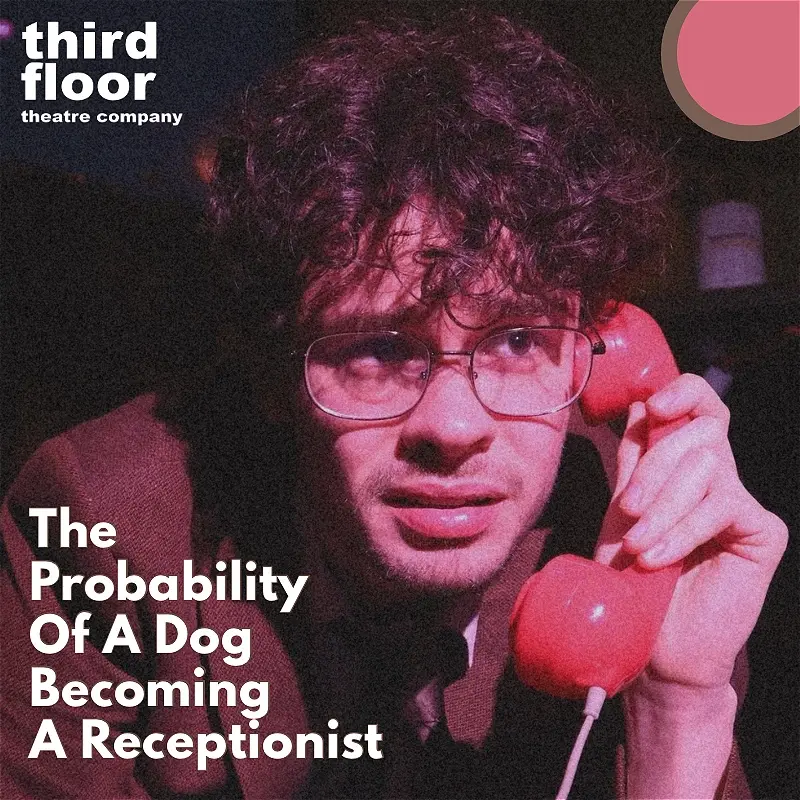 The Probability of a Dog Becoming a Receptionist – Jimmy’s, Manchester