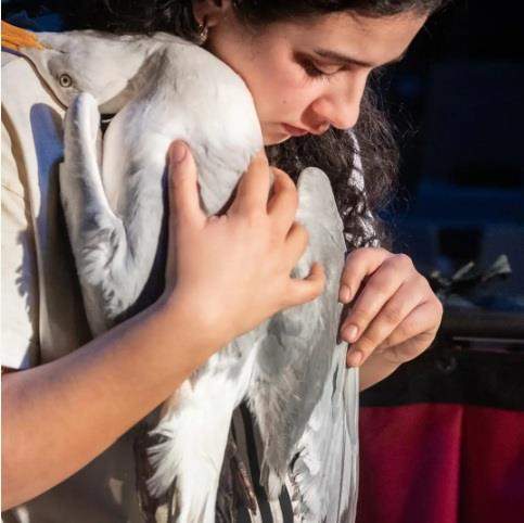 The Seagull – Studio Theatre