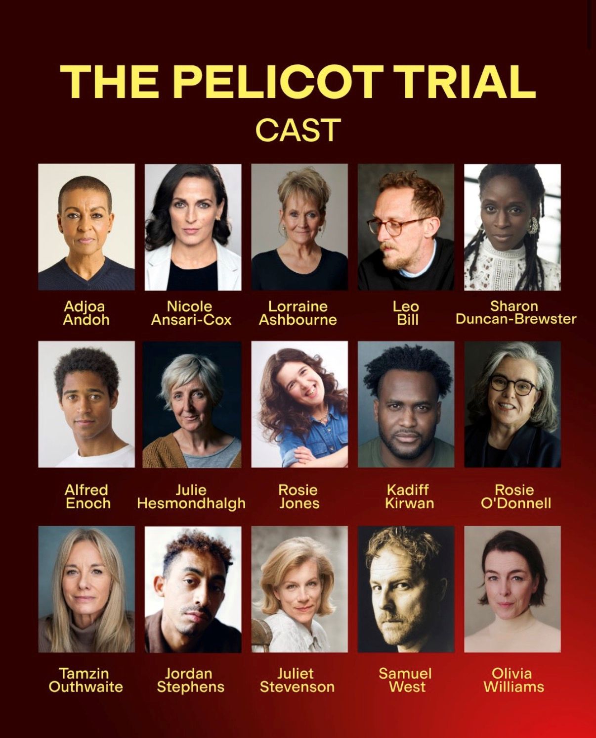 ‘The Pelicot Trial’ at The Chamber, London Country Hall in association with the Young Vic Theatre